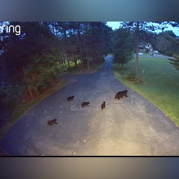 Meet Your Posher, Karri - Picture 3 of 17